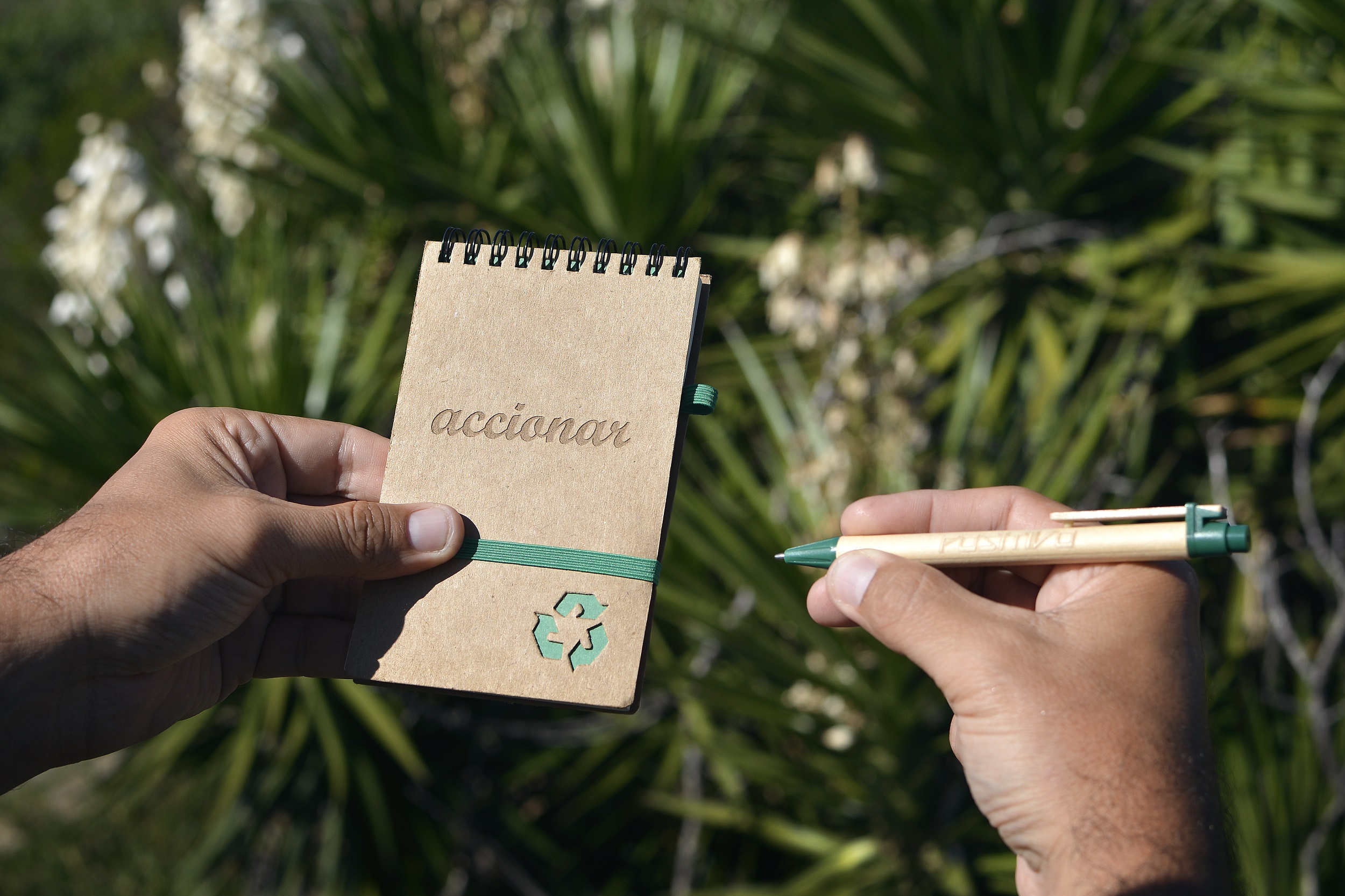 Ecoscritor Accionar Positivo