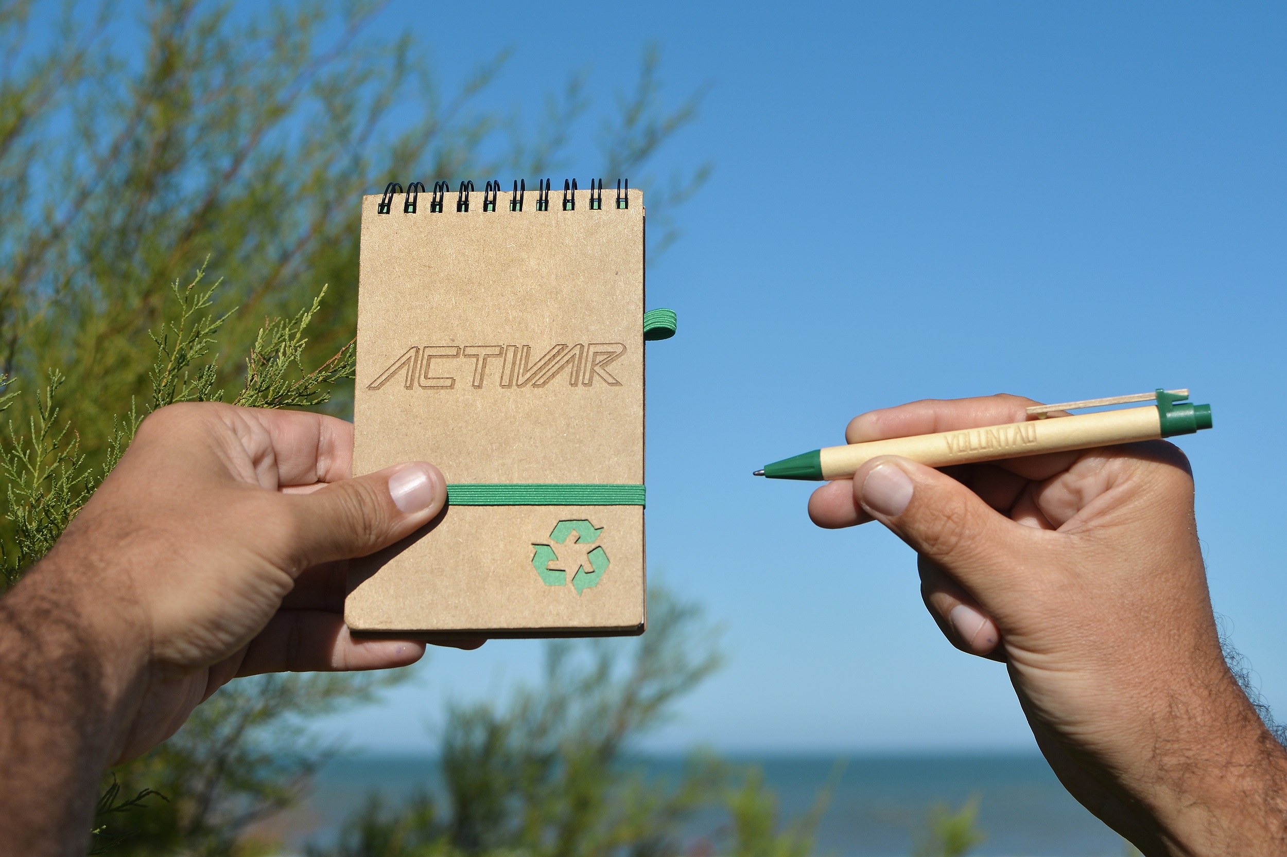 Ecoscritor Activar la Voluntad
