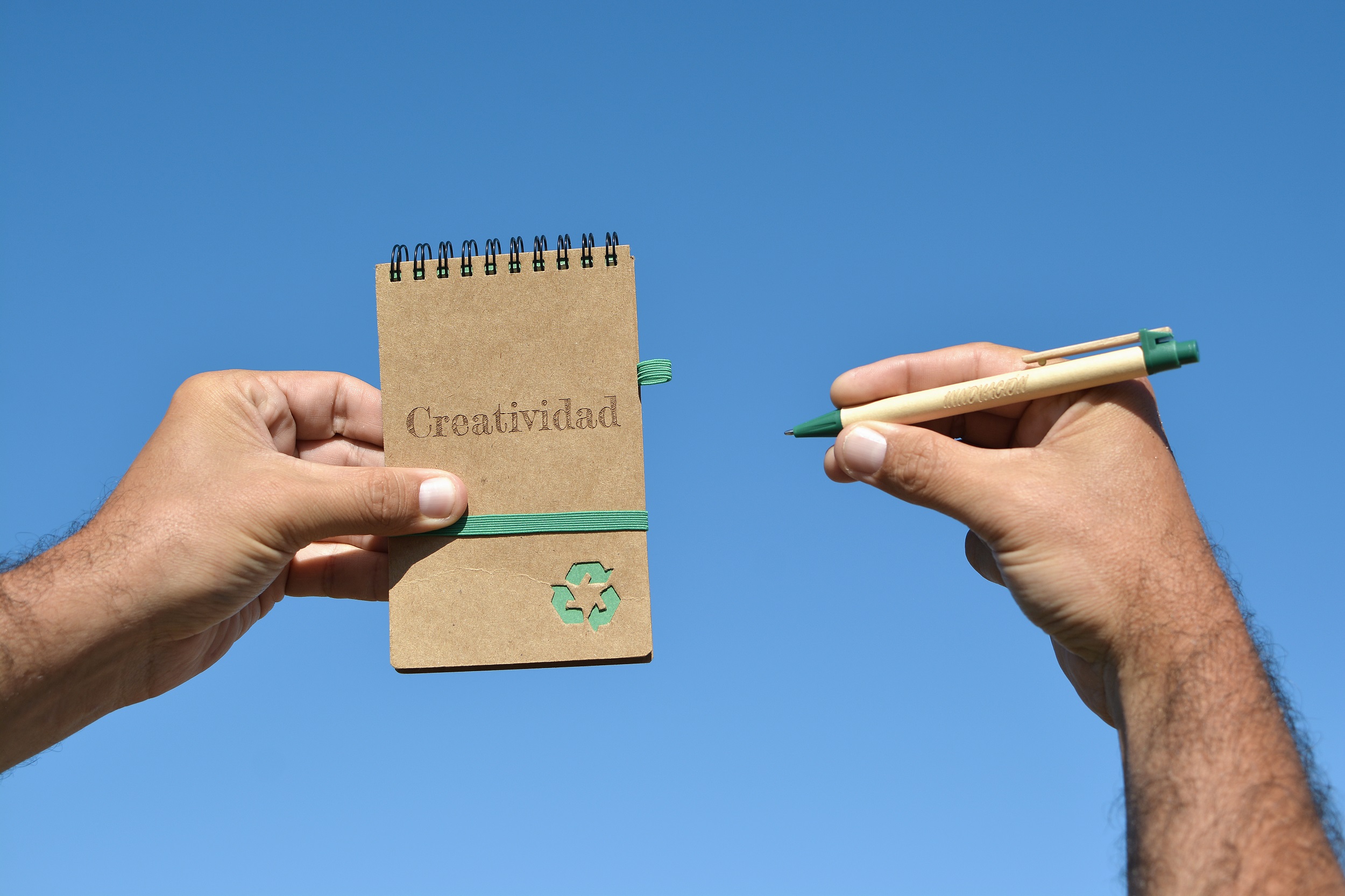 Ecoscritor Creatividad e Innovación
