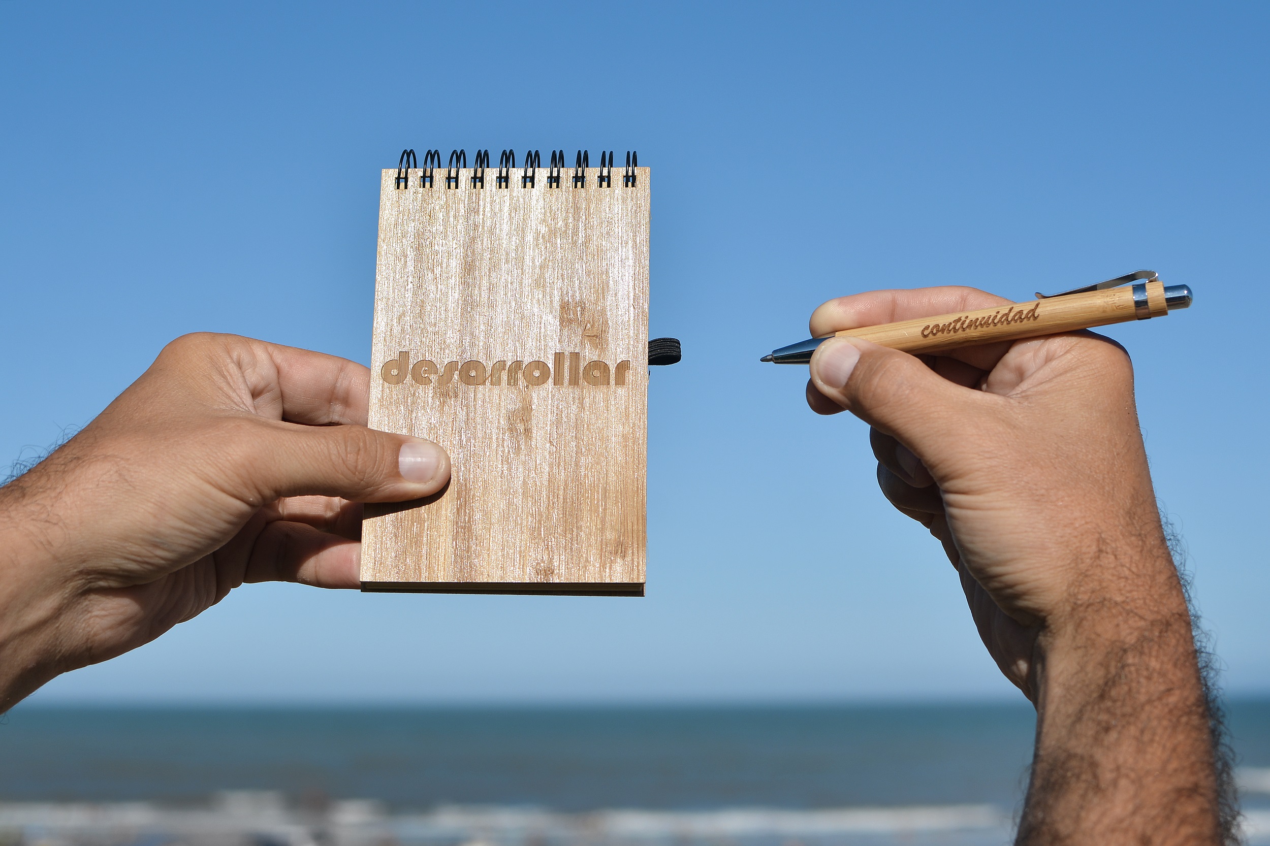 Ecoscritor Desarrollar la Continuidad