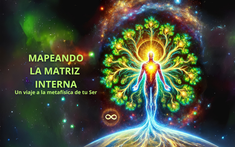 Concepto de la Matriz Interna