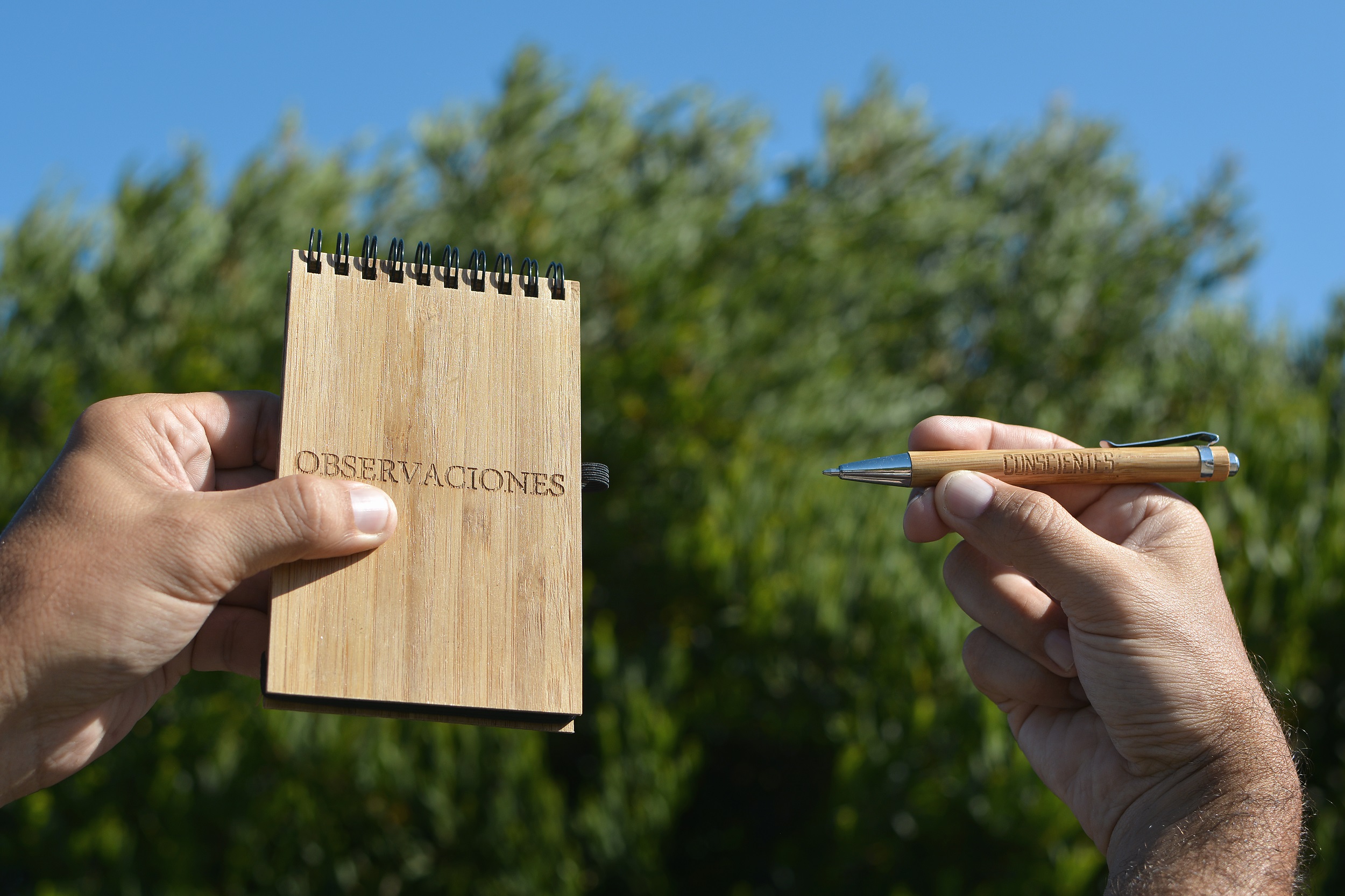 Ecoscritor Observaciones Conscientes