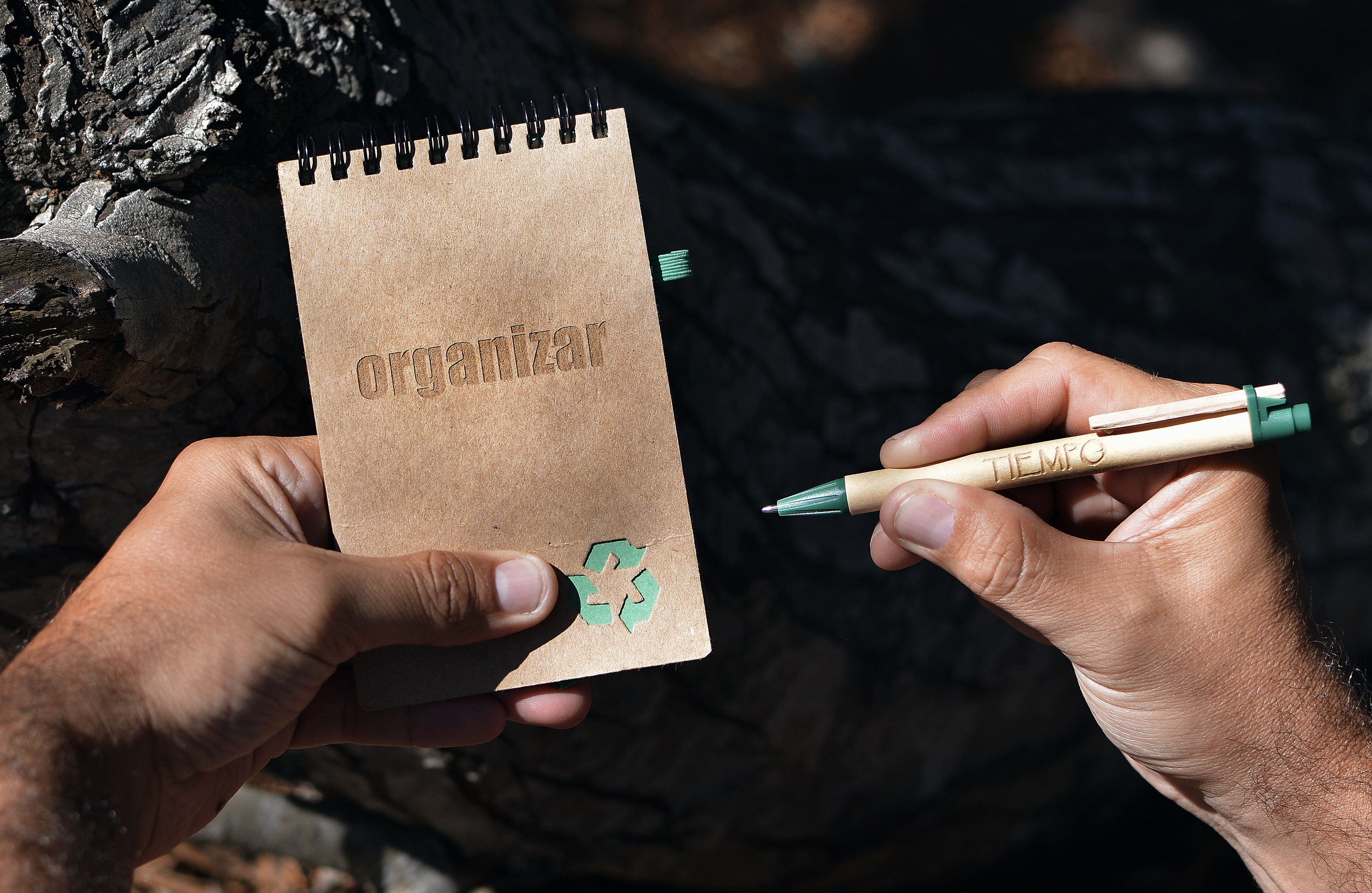 Ecoscritor Organizar Tiempo