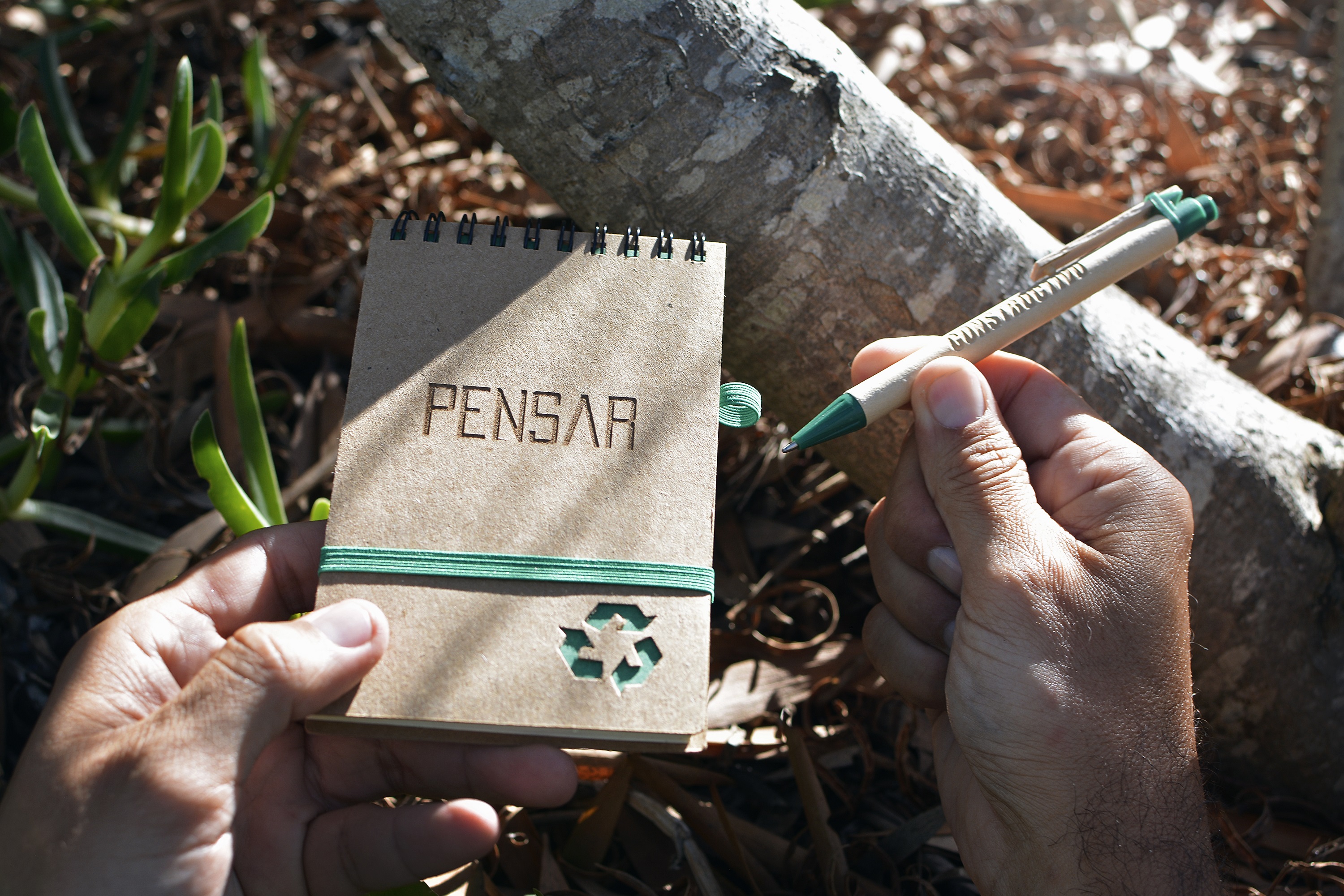 Ecoscritor Pensar Constructivo