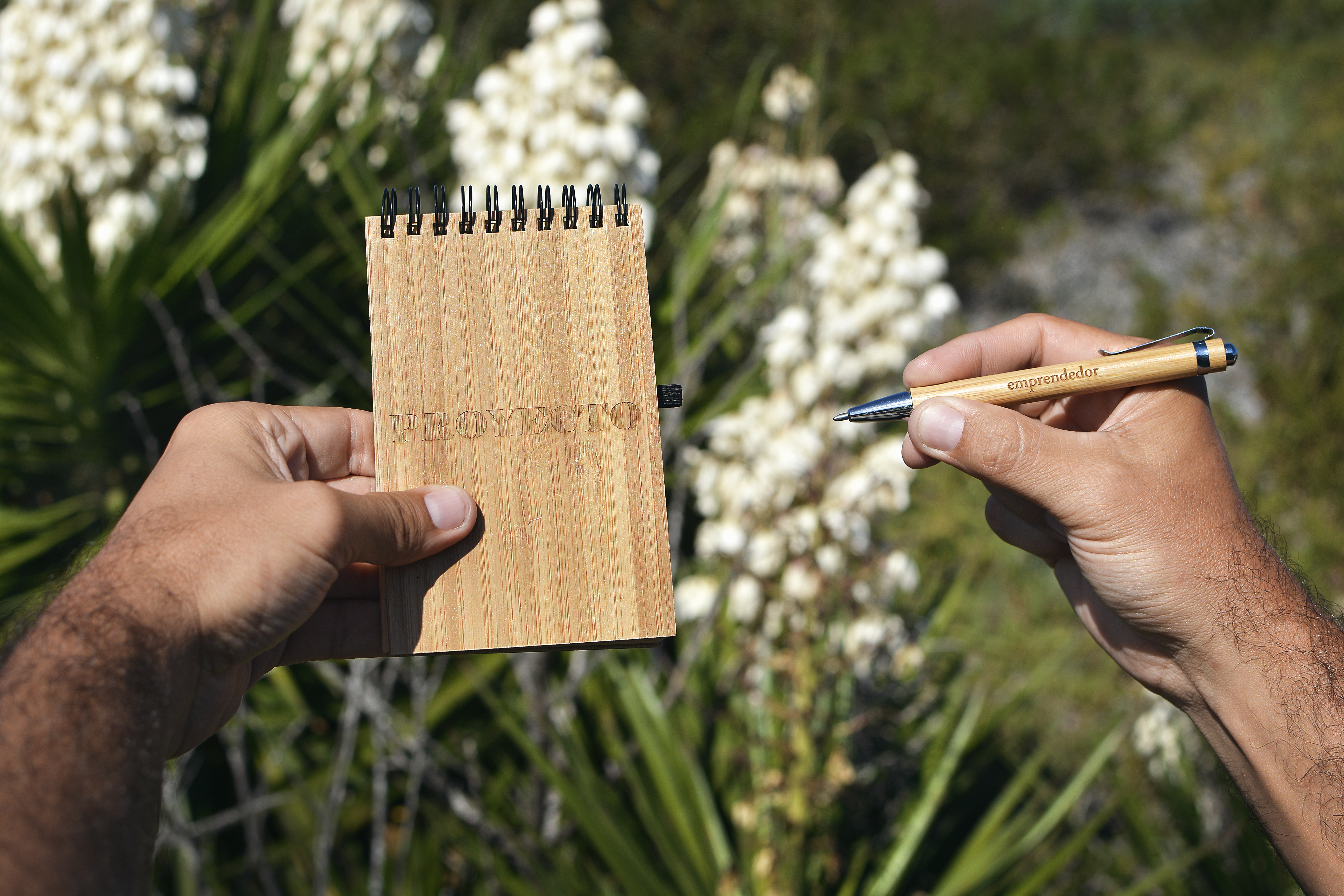 Ecoscritor Proyecto Emprendedor