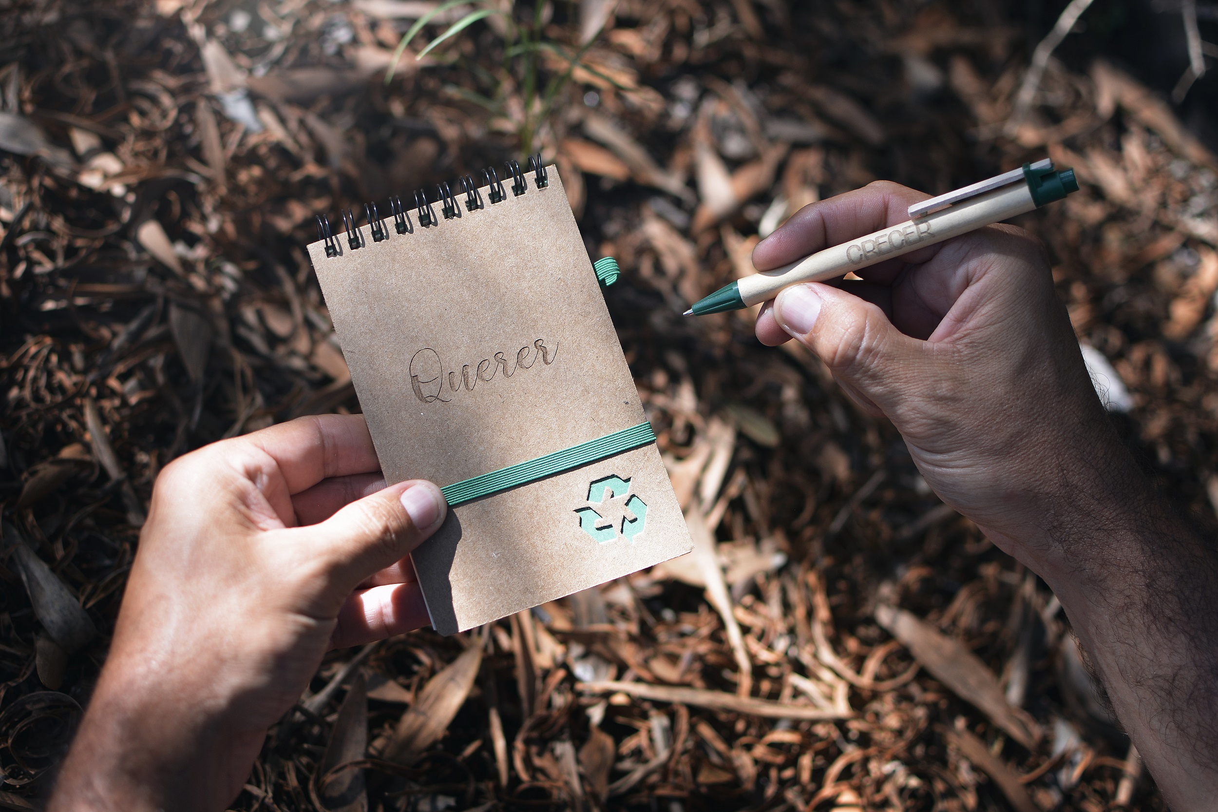 Ecoscritor Querer Crecer
